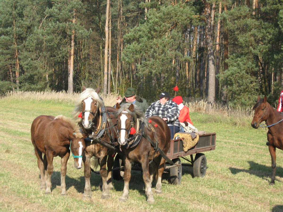 Tesařovi