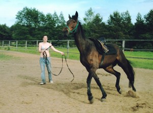 Obrazek