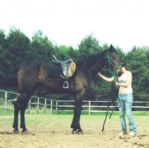 Obrazek
